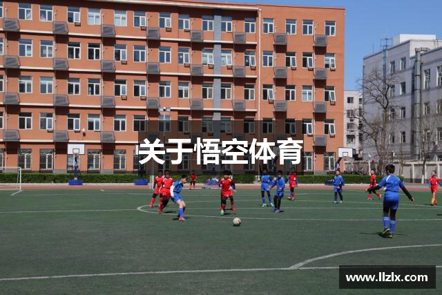 关于悟空体育